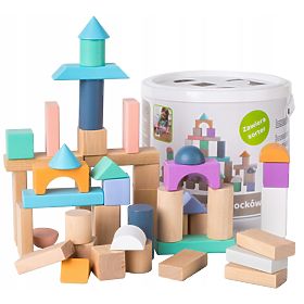 Cubes en bois dans une boîte - 50 pcs, EcoToys